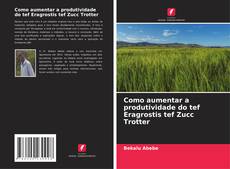 Buchcover von Como aumentar a produtividade do tef Eragrostis tef Zucc Trotter
