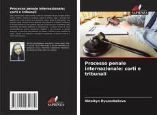 Processo penale internazionale: corti e tribunali的封面