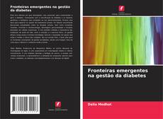 Fronteiras emergentes na gestão da diabetes的封面