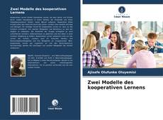Copertina di Zwei Modelle des kooperativen Lernens
