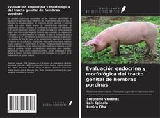Evaluación endocrina y morfológica del tracto genital de hembras porcinas的封面