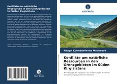 Konflikte um natürliche Ressourcen in den Grenzgebieten im Süden Kirgisistans kitap kapağı