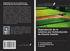 Copertina di Degradación de la celulosa por Actinomycete de Eisenia foetida