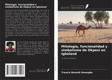 Buchcover von Mitología, funcionalidad y simbolismo de Okpesi en Igboland