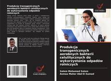 Copertina di Produkcja transgenicznych aerobnych bakterii celulitycznych do wykorzystania odpadów rolniczych