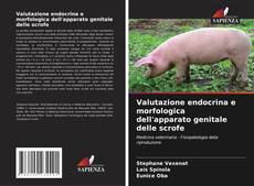 Portada del libro de Valutazione endocrina e morfologica dell'apparato genitale delle scrofe