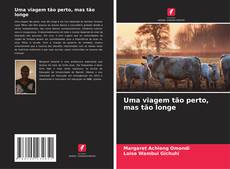 Portada del libro de Uma viagem tão perto, mas tão longe