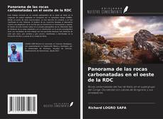 Couverture de Panorama de las rocas carbonatadas en el oeste de la RDC