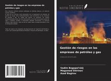 Copertina di Gestión de riesgos en las empresas de petróleo y gas