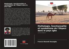 Copertina di Mythologie, fonctionnalité et symbolisme de l'Okpesi dans le pays igbo