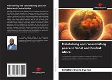 Maintaining and consolidating peace in Sahel and Central Africa kitap kapağı