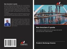 Borítókép a  Non bruciare il ponte - hoz