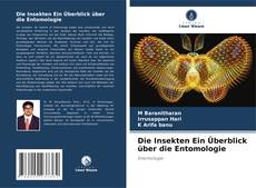 Die Insekten Ein Überblick über die Entomologie的封面