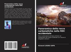 Copertina di Panoramica delle rocce carbonatiche nella RDC occidentale
