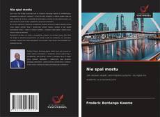 Nie spal mostu的封面