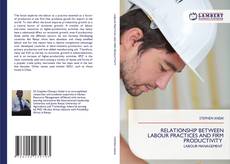 Copertina di RELATIONSHIP BETWEEN LABOUR PRACTICES AND FIRM PRODUCTIVITY