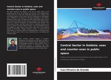 Обложка Central Sector in Goiânia: uses and counter-uses in public space