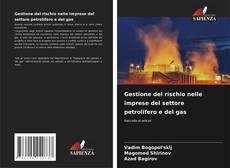 Copertina di Gestione del rischio nelle imprese del settore petrolifero e del gas