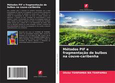 Couverture de Métodos PIF e fragmentação de bulbos na couve-caribenha