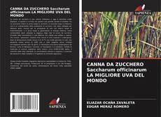 CANNA DA ZUCCHERO Saccharum officinarum LA MIGLIORE UVA DEL MONDO的封面