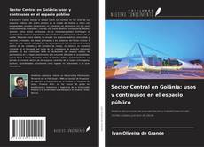 Buchcover von Sector Central en Goiânia: usos y contrausos en el espacio público