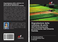 Copertina di Degradazione della cellulosa da parte dell'Actinomycete proveniente dall'Eisenia foetida