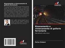 Copertina di Risanamento e rinnovamento di gallerie ferroviarie