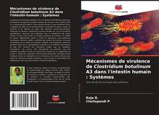 Copertina di Mécanismes de virulence de Clostridium botulinum A3 dans l'intestin humain : Systèmes