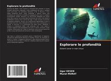Copertina di Esplorare le profondità