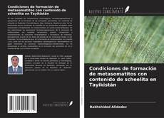 Capa do livro de Condiciones de formación de metasomatitos con contenido de scheelita en Tayikistán 