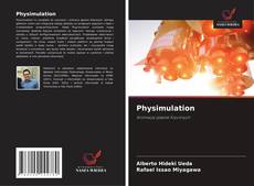 Borítókép a  Physimulation - hoz