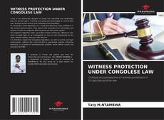 Обложка WITNESS PROTECTION UNDER CONGOLESE LAW