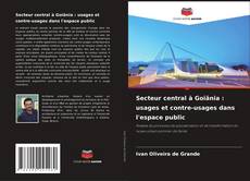Buchcover von Secteur central à Goiânia : usages et contre-usages dans l'espace public