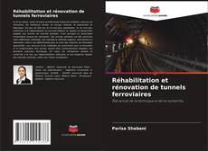 Обложка Réhabilitation et rénovation de tunnels ferroviaires