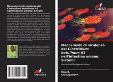 Copertina di Meccanismi di virulenza del Clostridium botulinum A3 nell'intestino umano: Sistemi