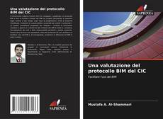 Copertina di Una valutazione del protocollo BIM del CIC
