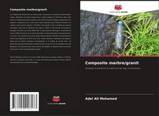 Copertina di Composite marbre/granit
