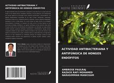Portada del libro de ACTIVIDAD ANTIBACTERIANA Y ANTIFÚNGICA DE HONGOS ENDÓFITOS