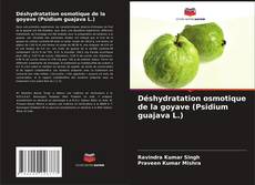 Copertina di Déshydratation osmotique de la goyave (Psidium guajava L.)
