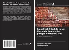 Buchcover von La aplicabilidad de la Ley María da Penha a las parejas homosexuales
