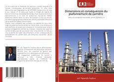 Capa do livro de Dimensions et conséquences du plafonnement de carrière 