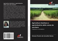 Borítókép a  Agricoltura familiare e agroindustria della canna da zucchero - hoz