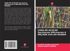 Copertina di CANA-DE-AÇÚCAR Saccharum officinarum A MELHOR UVA DO MUNDO