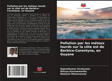 Buchcover von Pollution par les métaux lourds sur la côte est de Berbice-Corentyne, en Guyane