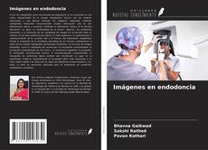 Couverture de Imágenes en endodoncia