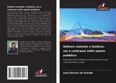 Couverture de Settore centrale a Goiânia: usi e controusi nello spazio pubblico