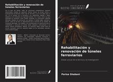 Copertina di Rehabilitación y renovación de túneles ferroviarios