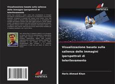 Visualizzazione basata sulla salienza delle immagini iperspettrali di telerilevamento kitap kapağı