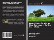 Buchcover von Leguminosas forrajeras-Maíz Zea mays L. Cultivo intercalado