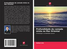Portada del libro de Profundidade da camada mista no Mar Oriental
